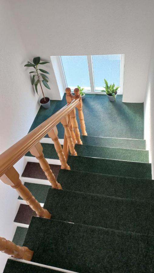 Apartman Sasa 弗拉涅 外观 照片
